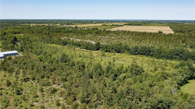 16744LOT2A Thompson Trail Dr, Brownville, NY 13634 - photo 5