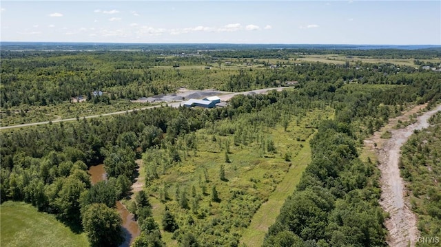 16744LOT2A Thompson Trail Dr, Brownville, NY 13634 - photo 6