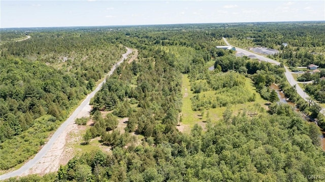16744LOT2A Thompson Trail Dr, Brownville, NY 13634 - photo 8