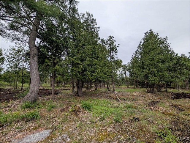 16744LOT2A Thompson Trail Dr, Brownville, NY 13634 - photo 11