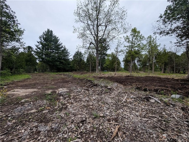 16744LOT2A Thompson Trail Dr, Brownville, NY 13634 - photo 12