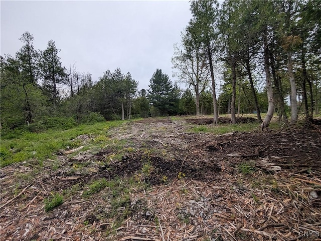 16744LOT2A Thompson Trail Dr, Brownville, NY 13634 - photo 13