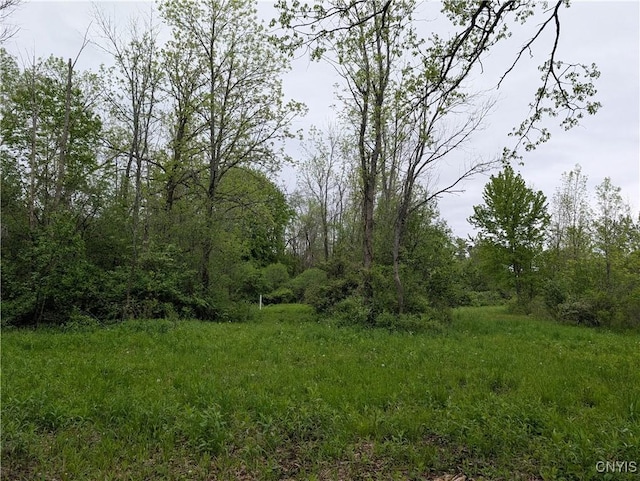 16744LOT2A Thompson Trail Dr, Brownville, NY 13634 - photo 14