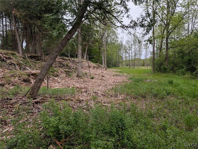 16744LOT2A Thompson Trail Dr, Brownville, NY 13634 - photo 15