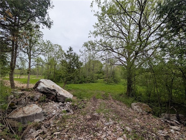 16744LOT2A Thompson Trail Dr, Brownville, NY 13634 - photo 16