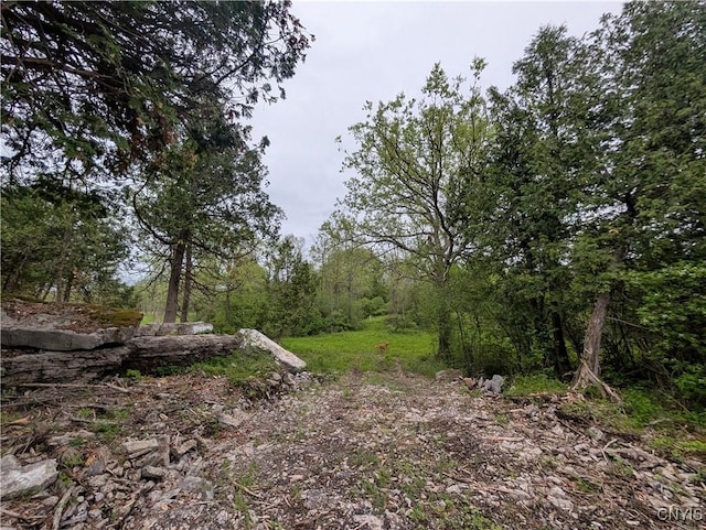 16744LOT2A Thompson Trail Dr, Brownville, NY 13634 - photo 17