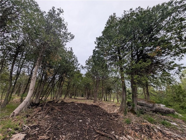 16744LOT2A Thompson Trail Dr, Brownville, NY 13634 - photo 18