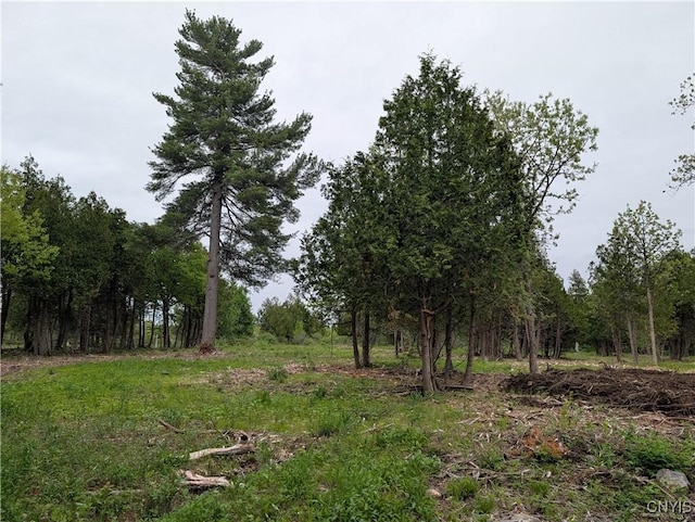 16744LOT2A Thompson Trail Dr, Brownville, NY 13634 - photo 19