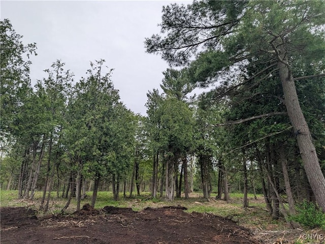 16744LOT2A Thompson Trail Dr, Brownville, NY 13634 - photo 20