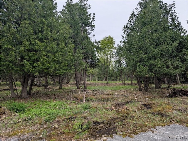 16744LOT2A Thompson Trail Dr, Brownville, NY 13634 - photo 22