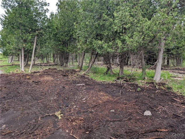 16744LOT2A Thompson Trail Dr, Brownville, NY 13634 - photo 23
