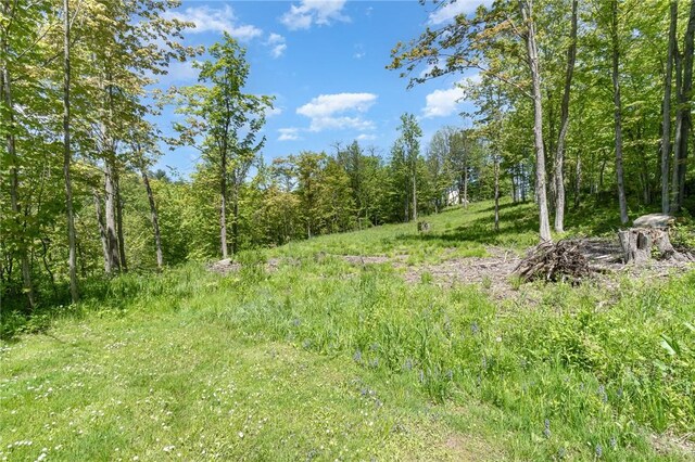 6277 E Port Bay Rd, Wolcott, NY 14590 - photo 6