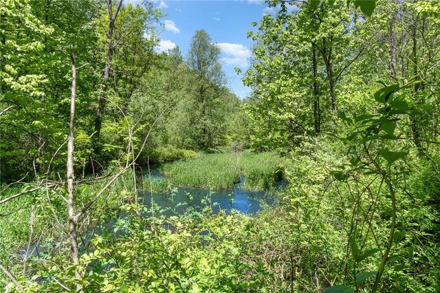6277 E Port Bay Rd, Wolcott, NY 14590 - photo 10
