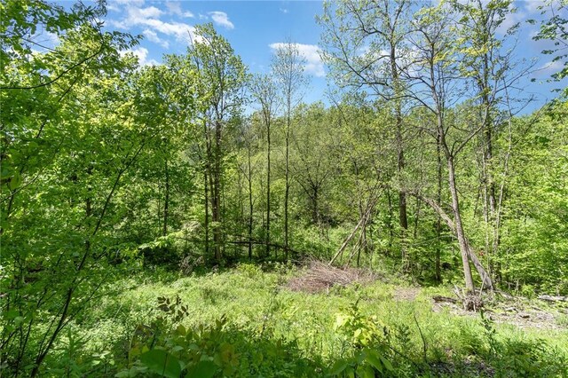 6277 E Port Bay Rd, Wolcott, NY 14590 - photo 15