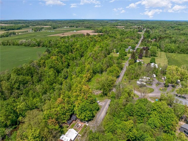 6277 E Port Bay Rd, Wolcott, NY 14590 - photo 20