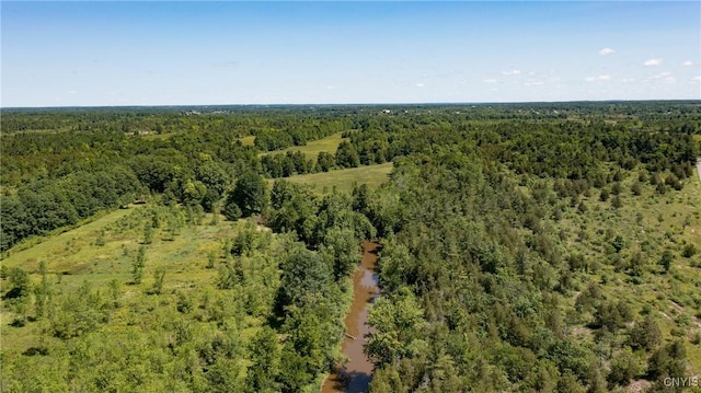 16744LOT2D Thompson Trail Dr, Brownville, NY 13634