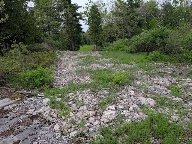 16744LOT2D Thompson Trail Dr, Brownville, NY 13634