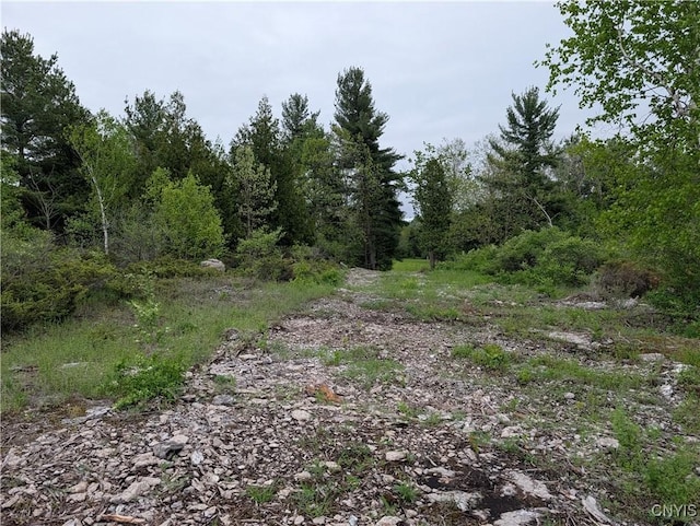 16744LOT2D Thompson Trail Dr, Brownville, NY 13634