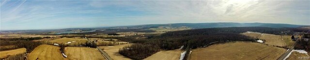 VL Kellogg Hill Rd, Leon, NY 14138 - photo 25