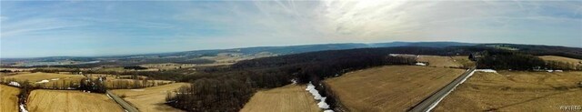 VL Kellogg Hill Rd, Leon, NY 14138 - photo 26