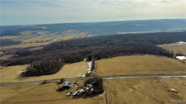 VL Kellogg Hill Rd, Leon, NY 14138 - photo 2