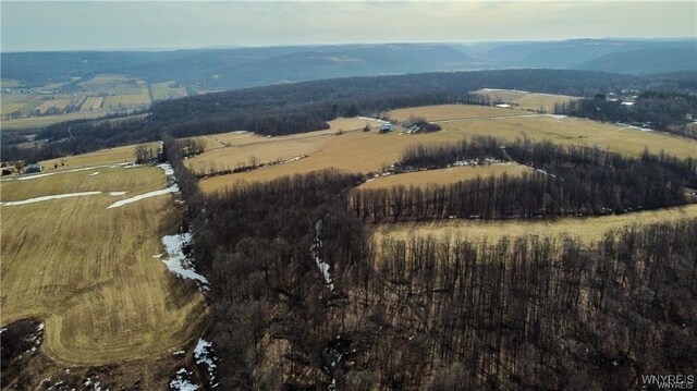 VL Kellogg Hill Rd, Leon, NY 14138 - photo 4