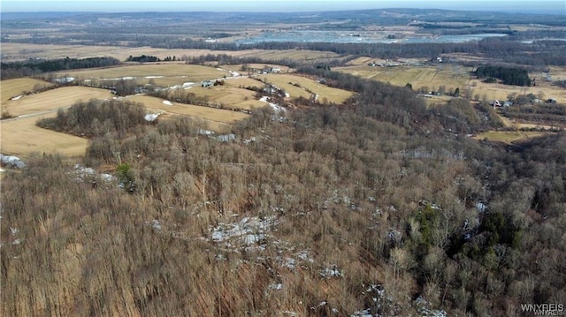 VL Kellogg Hill Rd, Leon, NY 14138 - photo 5