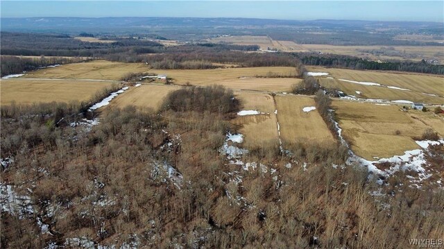 VL Kellogg Hill Rd, Leon, NY 14138 - photo 6