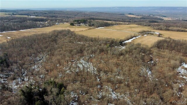 VL Kellogg Hill Rd, Leon, NY 14138 - photo 7