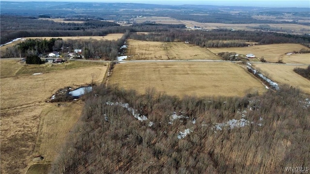 VL Kellogg Hill Rd, Leon, NY 14138 - photo 8