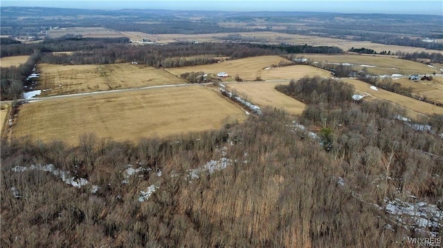 VL Kellogg Hill Rd, Leon, NY 14138 - photo 9
