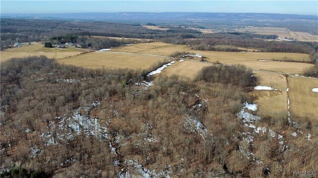 VL Kellogg Hill Rd, Leon, NY 14138 - photo 11