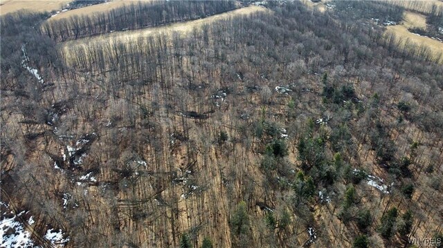 VL Kellogg Hill Rd, Leon, NY 14138 - photo 12