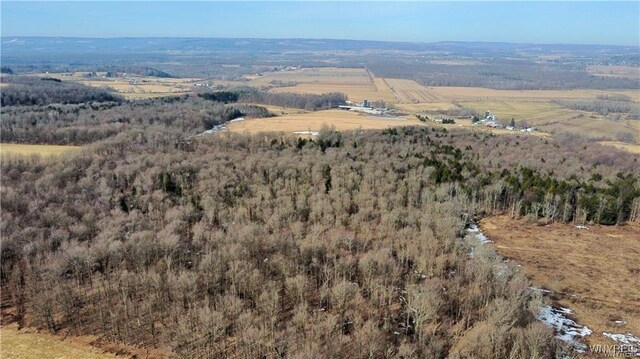 VL Kellogg Hill Rd, Leon, NY 14138 - photo 13