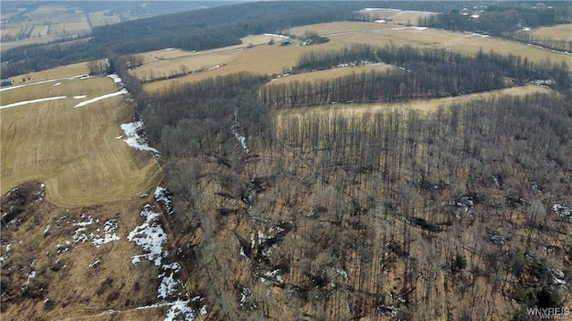 VL Kellogg Hill Rd, Leon, NY 14138 - photo 14