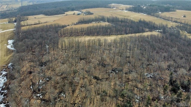 VL Kellogg Hill Rd, Leon, NY 14138 - photo 15