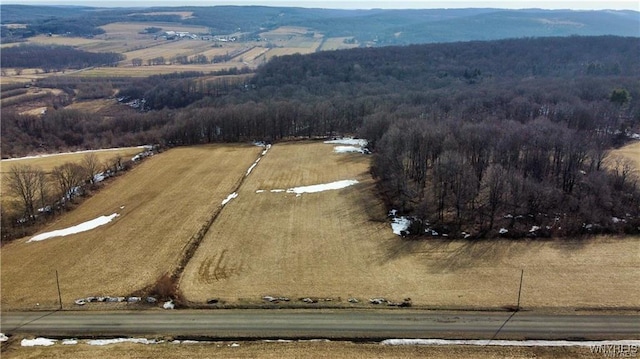 VL Kellogg Hill Rd, Leon, NY 14138 - photo 16
