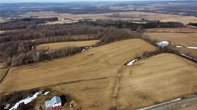VL Kellogg Hill Rd, Leon, NY 14138 - photo 17