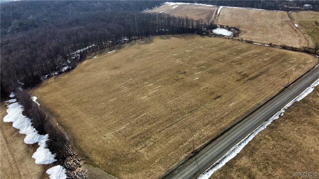 VL Kellogg Hill Rd, Leon, NY 14138 - photo 19