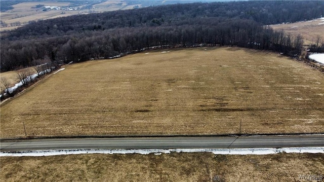 VL Kellogg Hill Rd, Leon, NY 14138 - photo 20