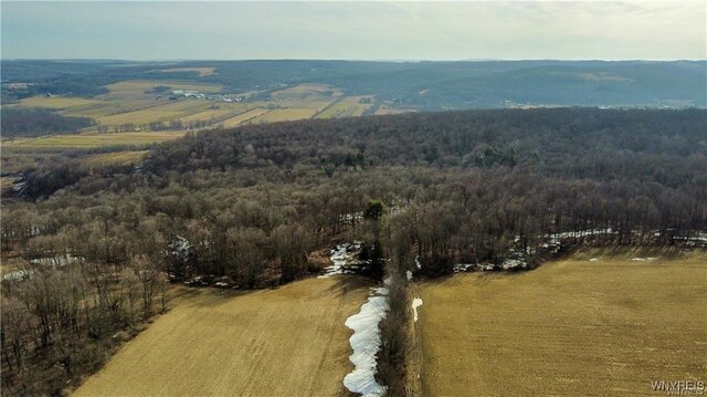 VL Kellogg Hill Rd, Leon, NY 14138 - photo 21