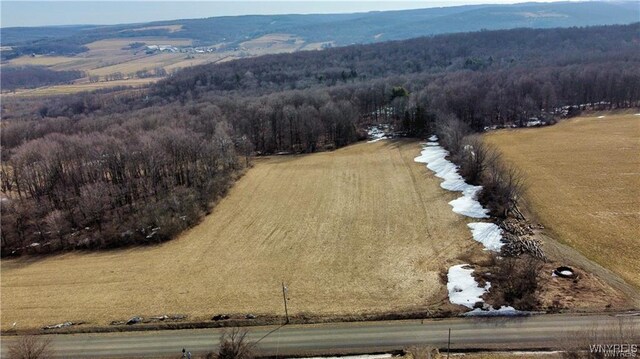 VL Kellogg Hill Rd, Leon, NY 14138 - photo 22