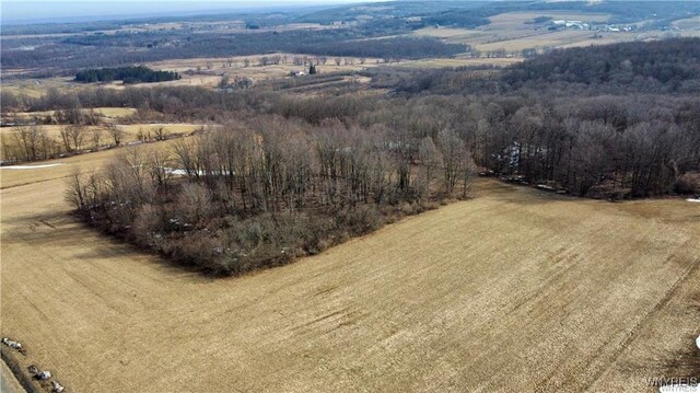 VL Kellogg Hill Rd, Leon, NY 14138 - photo 23