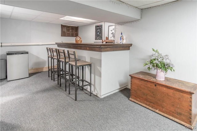 1039 Holcomb St, Watertown-City, NY 13601 - indoor dry bar featuring refrigerator, carpet, a drop ceiling, and baseboards