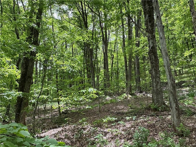 Woodland Hills Rd, Andes, NY 13731