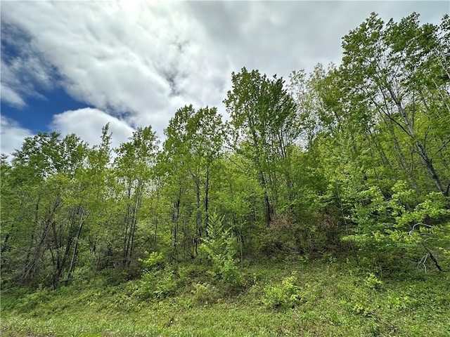 Woodland Hills Rd, Andes, NY 13731