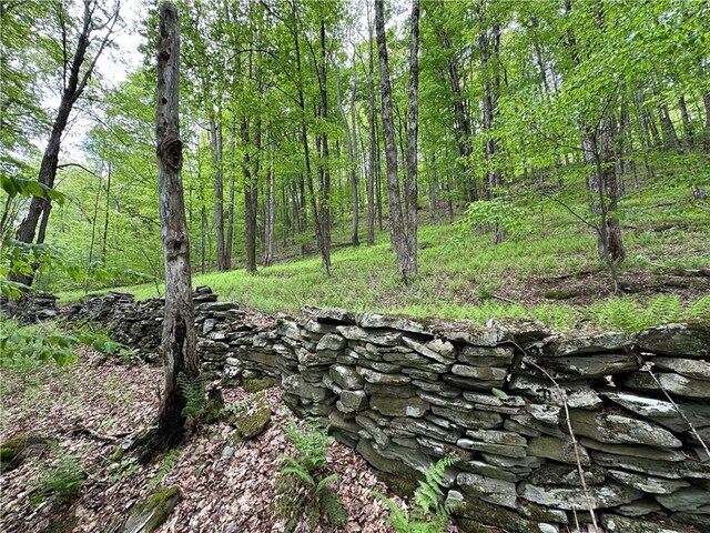 Woodland Hills Rd, Andes, NY 13731