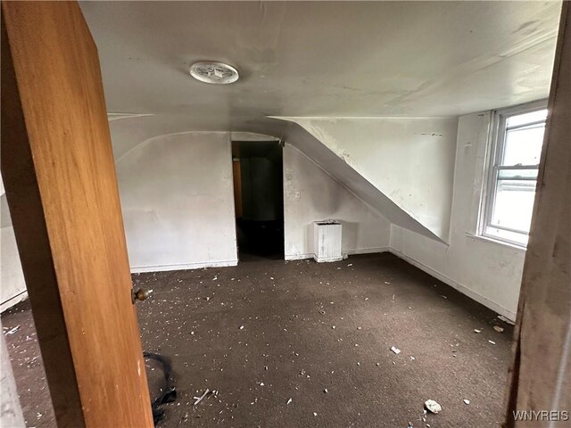 23 Cayuga St, Buffalo, NY 14211 - bonus room featuring carpet flooring and lofted ceiling