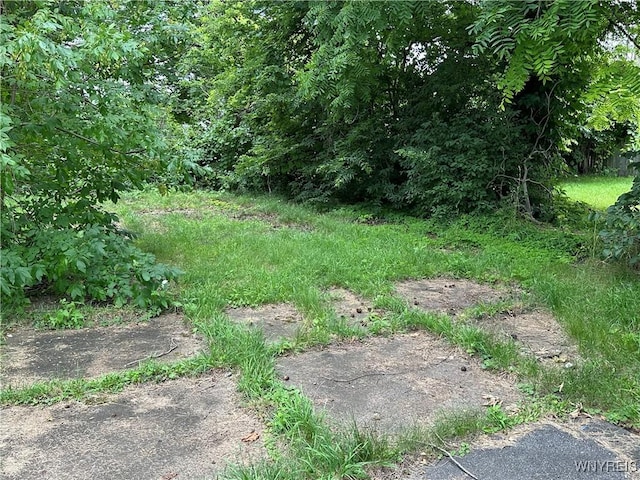 23 Cayuga St, Buffalo, NY 14211 - view of nature