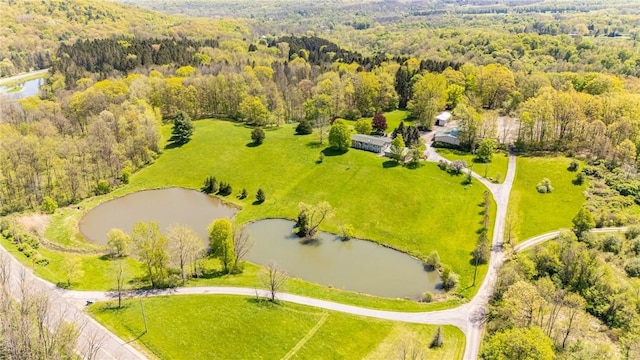 7425 Eelpot Rd, Naples, NY 14512 - aerial view of a large body of water and a forest